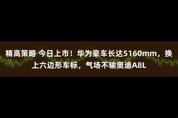 精高策略 今日上市！华为豪车长达5160mm，换上六边形车标，气场不输奥迪A8L