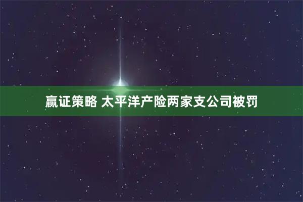 赢证策略 太平洋产险两家支公司被罚